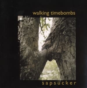 Sapsucker