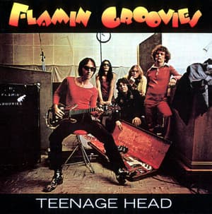 Teenage Head