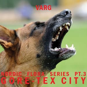 Nordic Flora Series Pt. 3: Gore-Tex City
