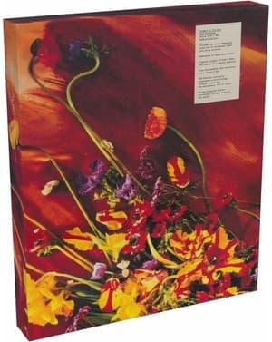 Flowers In The Dirt