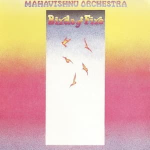 Birds Of Fire