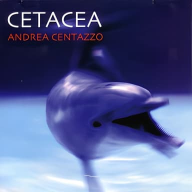 Cetacea