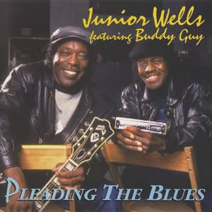 Pleading The Blues