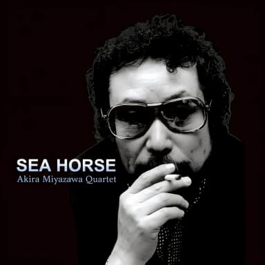 Sea Horse