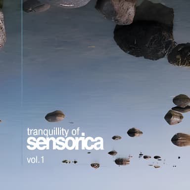 Tranquillity Of Sensorica Vol. 1  (CD2)