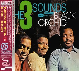 Black Orchid