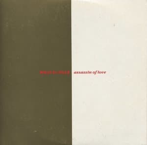 Assassin Of Love