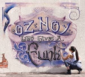 Who Gives A Funk
