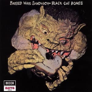 Barbed Wire Sandwich