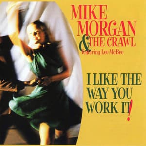 I Like The Way You Work It