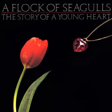 The Story Of A Young Heart