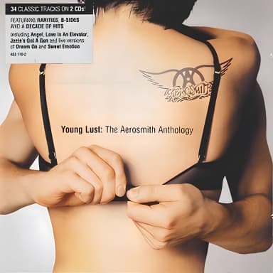 Young Lust: The Aerosmith Anthology