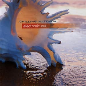 Electronic Soul