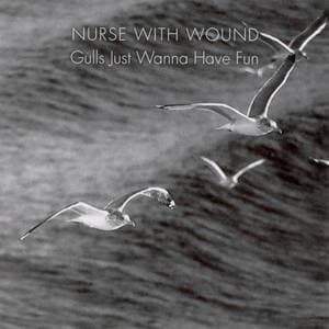 Gulls Just Wanna Have Fun