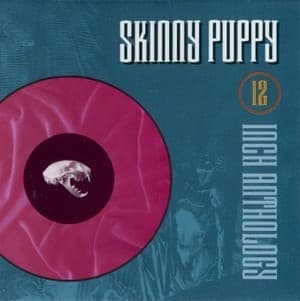 12 Inch Anthology