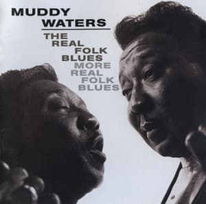 The Real Folk Blues More Real Folk Blues