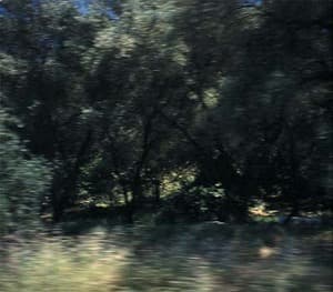 Wind