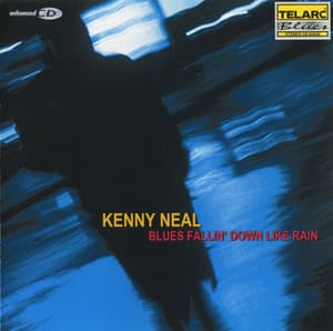 Blues Fallin' Down Like Rain (Telarc, CD-83435, USA)