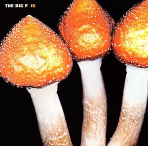 Is