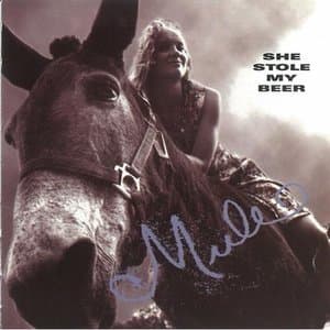 Mule