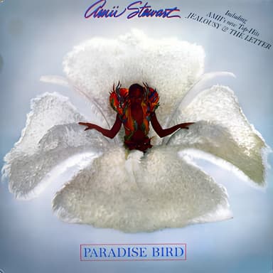 Paradise Bird