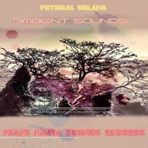 Ambient Sounds