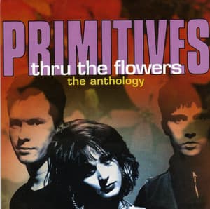 Thru The Flowers - The Anthology (CD2)