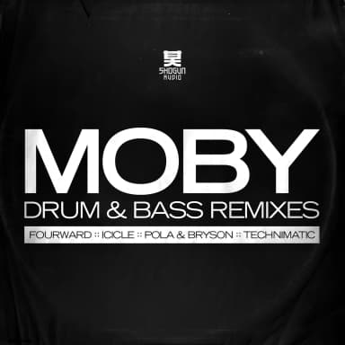 The Drum & Bass Remixes