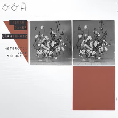 Heteroticisms Volume 4: Aidan Baker X LГ¤rmschutz