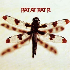 Rat At Rat R