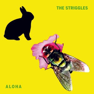 Aloha