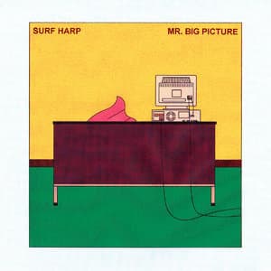 Mr. Big Picture