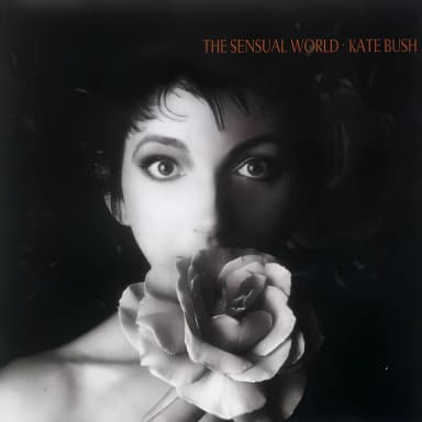 The Sensual World 