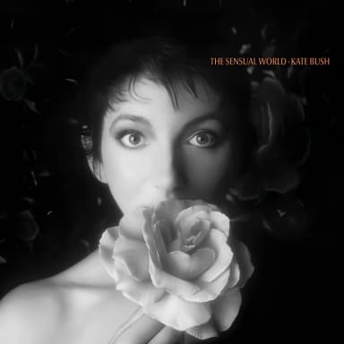 The Sensual World 