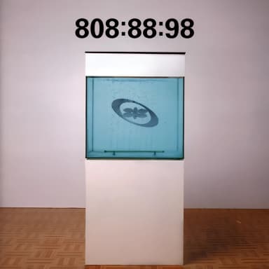 808:88:98