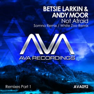 Not Afraid (Remixes Part 1)