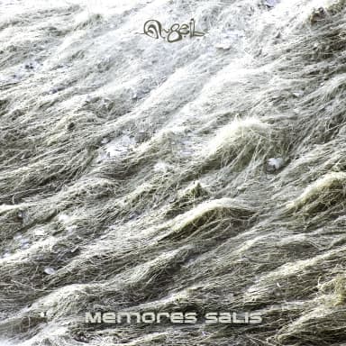 Memores Salis