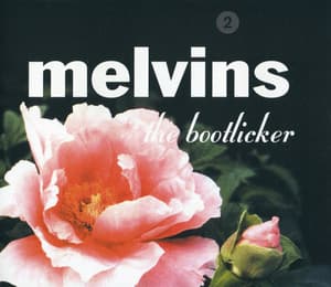 The Bootlicker