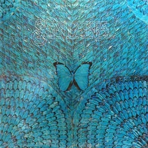 Borboletta