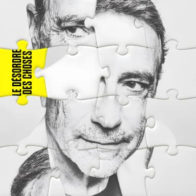 Le Desordre Des Choses