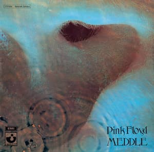Meddle