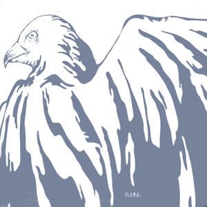 White Birds [EP]
