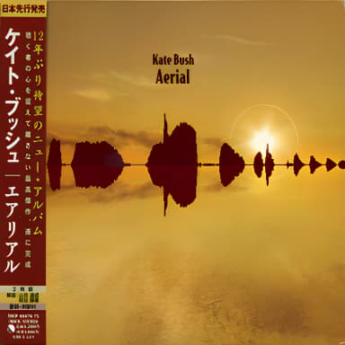 Aerial - A Sea Of Honey (2CD)