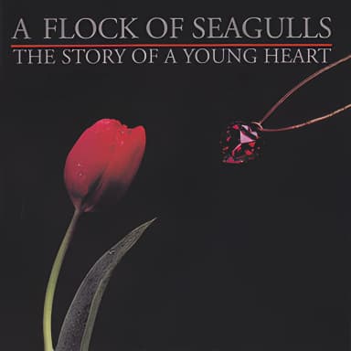 The Story Of A Young Heart (2008 Remaster Cherry Pop CR POP 5)