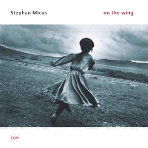 On The Wing
