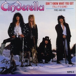 Don't Know What You Got (Till It's Gone)