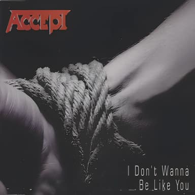 I Don't Wanna Be Like You