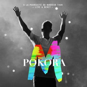 A La Poursuite Du Bonheur Tour (live A Bercy 2012)