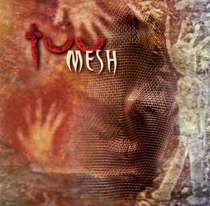 Mesh
