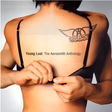 Young Lust: The Aerosmith Anthology